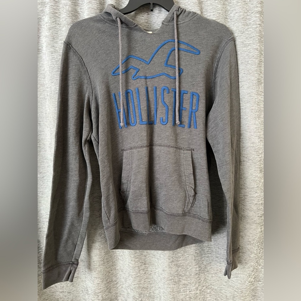 Hollister Men’s gray and blue embroidered hoodie